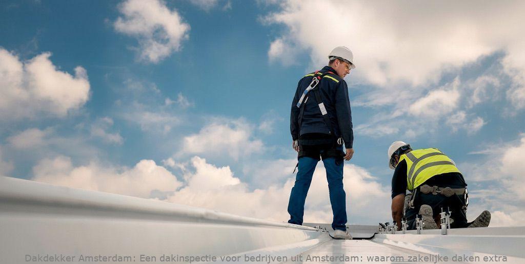 Dakinspectie Voor Bedrijven Amsterdam
