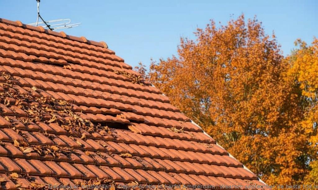 Dakrenovatie In Herfst Amsterdam