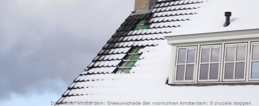 Schade Door Sneeuw En Vorst Amsterdam